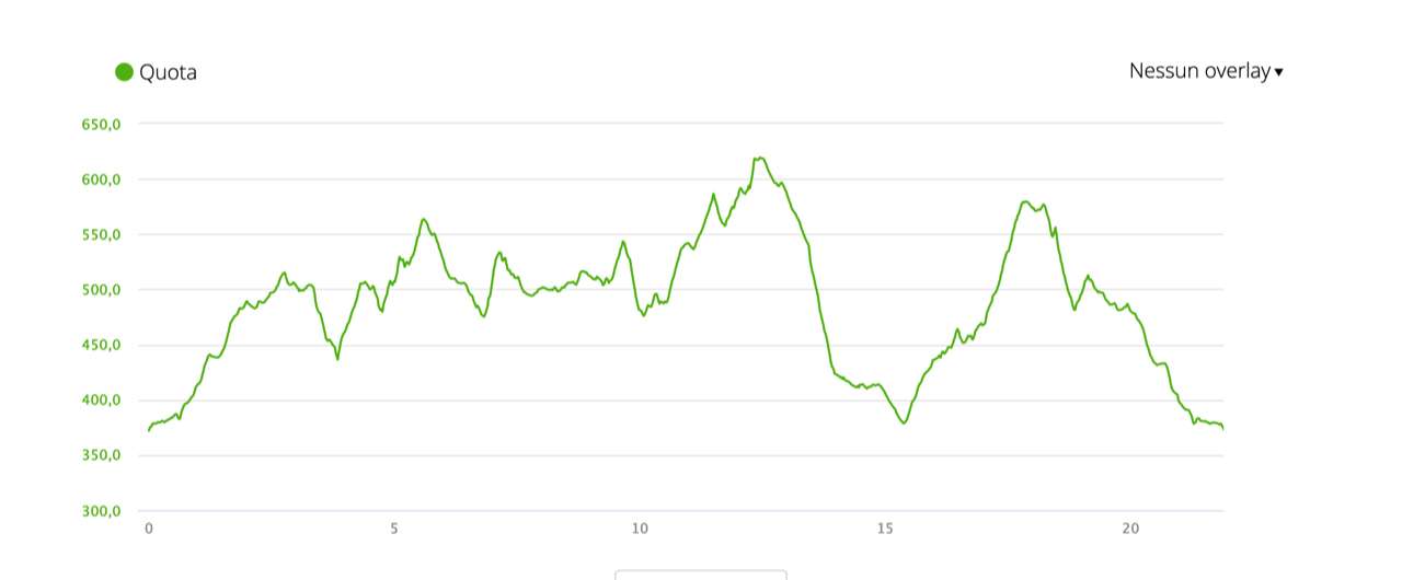 Trail al Pino – altimetria Trail al Pino - altimetria