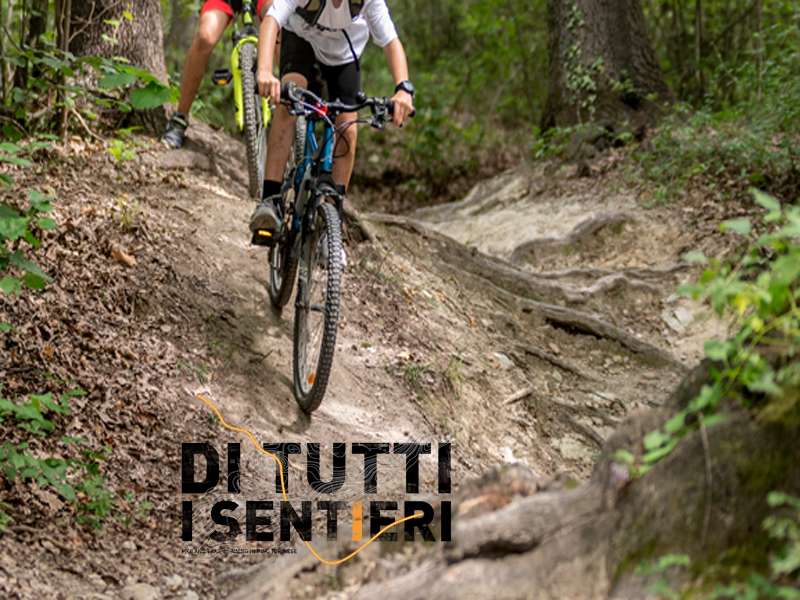 Trail al Pino – di tutti i sentieri Snowboarding